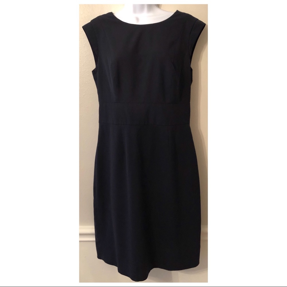 The Limited Collection Navy Sheath Dress.